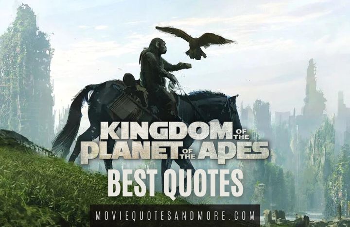 Kingdom of the Planet of the Apes 2024 Quotes