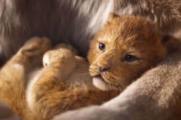 The Lion King 2019 Best Movie Quotes Remember