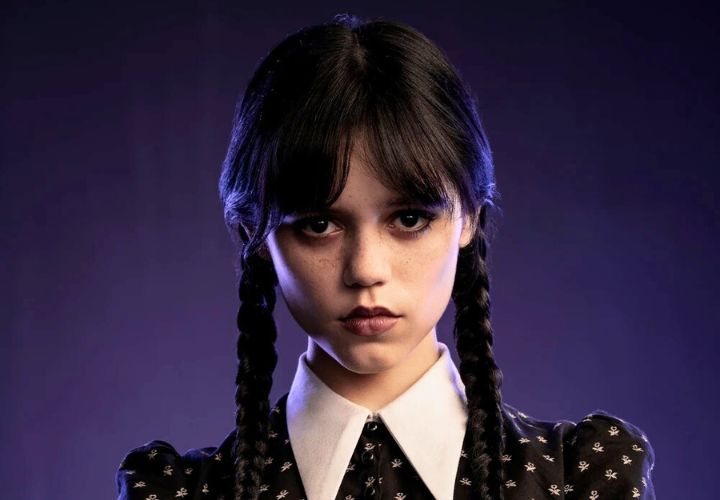 Wednesday Netflix TV Series